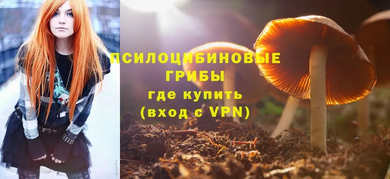 Псилоцибиновые грибы Magic Shrooms  Калуга 